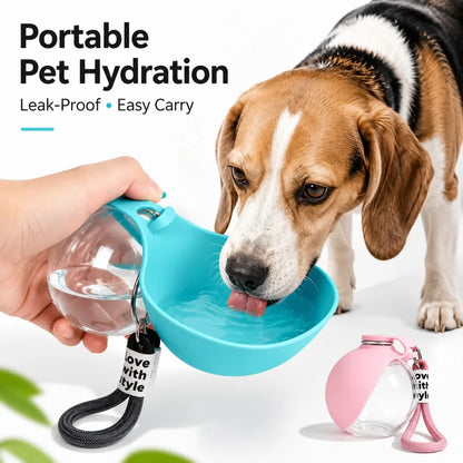 Bouteille d’Eau 2-en-1 pour Chien | Hydratation Facile Partout